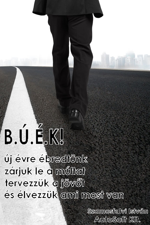 2017BUEK